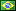 Português Brasileiro